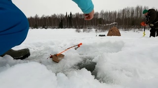 Выехали на реку /  Поймали рыбы / Упустили трофей  / Зимняя рыбалка в палатке