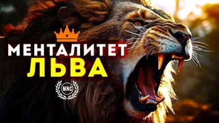 МЕНТАЛИТЕТ ЛЬВА - Лучшее мотивационное видео 2023