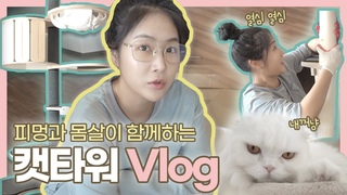 [VLOG] 반려묘 아띠를 위한 새로운 캣타워 만들기!🐱(ft.집순이 취미생활)ㅣENG SUB