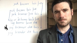 What’s the “realistic“ Viking language?