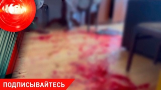 Ребенок заигрался до убийства; замучили 200 коров; “фарфоровые“ взятки / Криминал