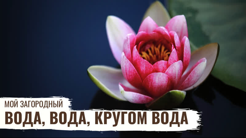 Мой Загородный. Вода, вода, кругом