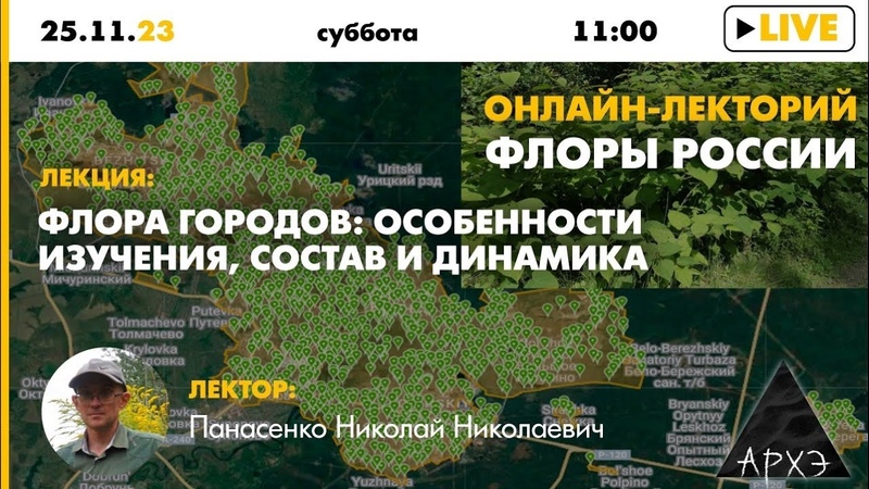Лекция Николая Панасенко Флора городов: особенности