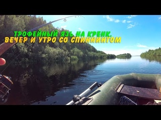 Трофейный язь на кренк. Вечер и утро со спиннингом
