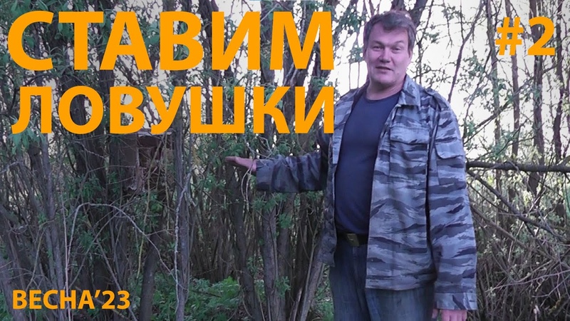 Ставим ловушки, Ловим пчел 2, пчеловодство,
