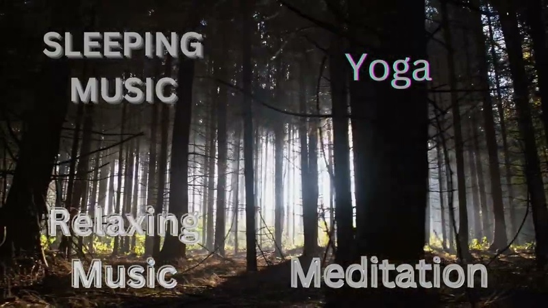 Dark Forest Music 4 Relaxing Calm Music for Meditation, Yoga, Sleeping.