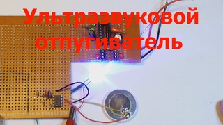 Отпугиватель комаров , пауков , мышей и крыс с изменяемой частотой.