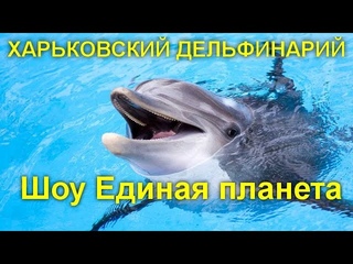 ХАРЬКОВСКИЙ ДЕЛЬФИНАРИЙ Шоу Единая планета