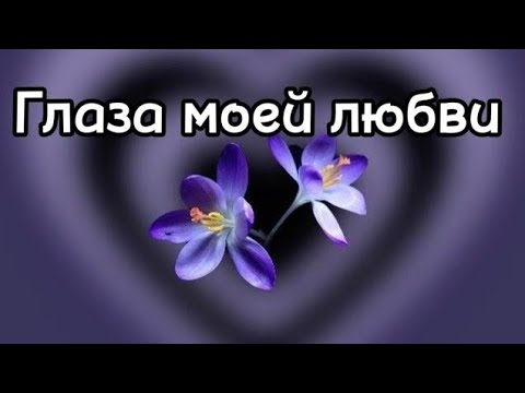 ЛУЧШАЯ ПЕСНЯ Глаза моей