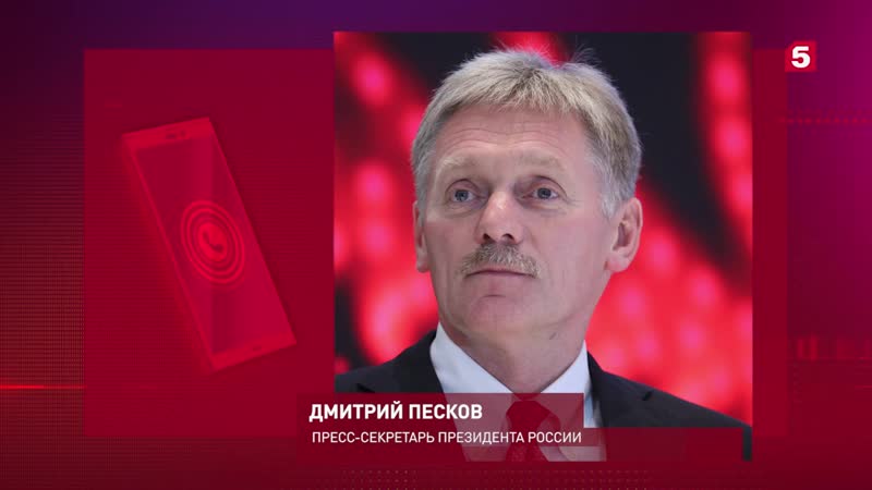 Пресс секретарь президента