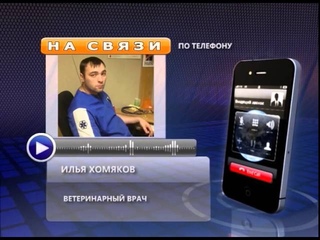 НАСИЛИЕ НАД СОБАКОЙ