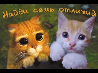 Первый в мире КОТЁНОК - ВИДЕОБЛОГЕР