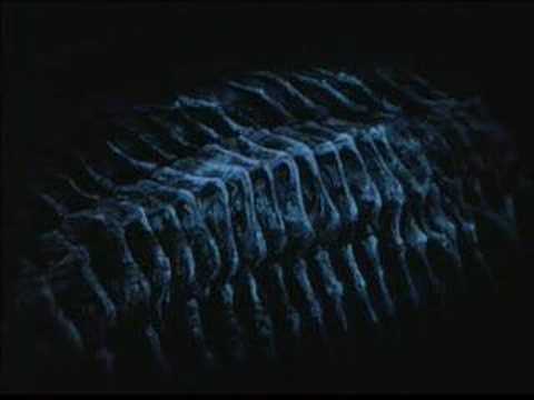 Angels Egg ( Theodor Bastard