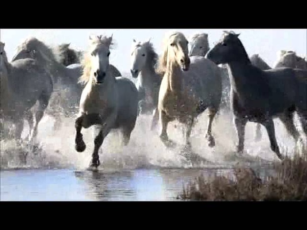 A Mirror of My Soul Anatoli Kireev music by Igor