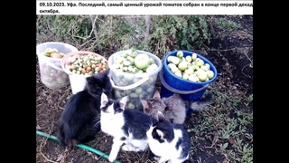 Урожай 2023 в агропанелях