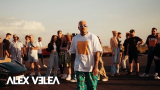 Alex Velea  Albert NBN  Petre Stefan  Bvcovia  Antonia - Marfa Tare | The Movie