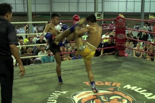 Krorpet Tiger Muay Thai vs Regency Sumalee Boxing Gym 4/1/2014