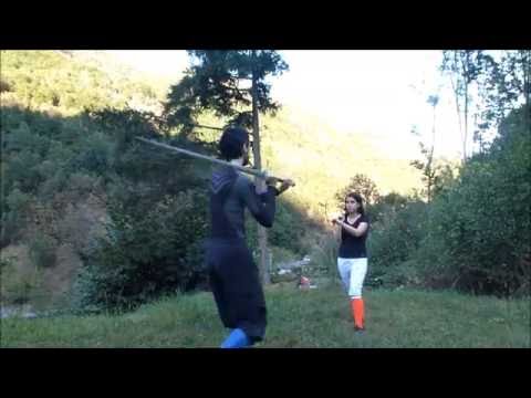 Fiore de Liberi: Two ways to execute