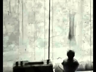 Зиновий Биртман - Лайки