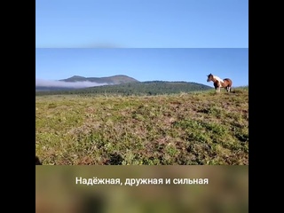 Школа конного туризма Камчатка, Россия, Камчатский край