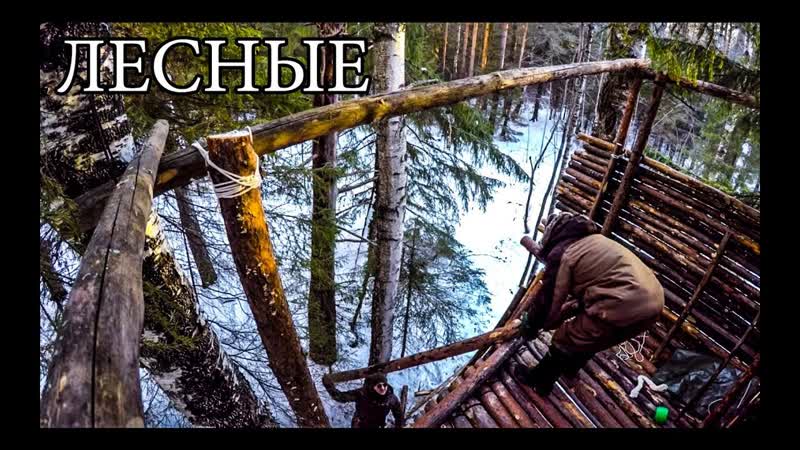 ДОМ НА ДЕРЕВЕ СВОИМИ РУКАМИ, ОХОТНИЧЬЯ БАШНЯ, HUNTING TOWER DIY,
