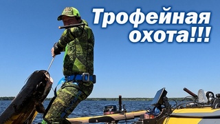 ПОДВОДНАЯ ОХОТА НА ПРОСВЕТ!!! ПОИСК РАНЕННОГО МОНСТРА!!!