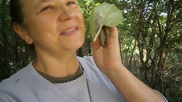 Мать и