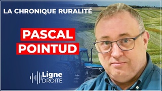 Hamas : “il faut dissoudre l’Assemblée pour évincer l’extrême gauche !“ - Pascal Pointud