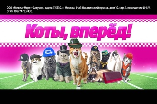 Коты вперед 2016!