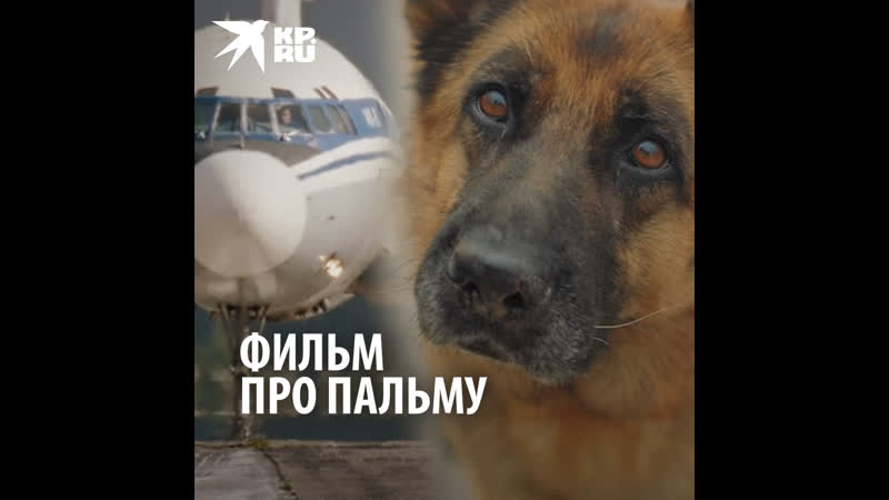Фильм про