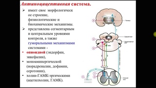 Наркотические анальгетики 15 лекция