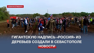 Послание всем поколениям: деревья в виде гигантской надписи Россия высадили в Севастополе