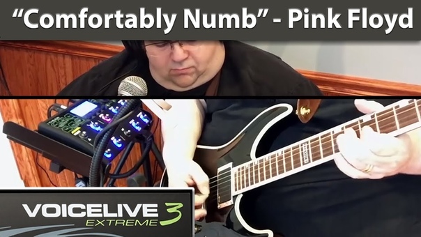 Comfortably Numb Pink Floyd Voice Live 3