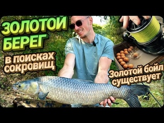 ЗОЛОТОЙ БЕРЕГ в поисках сокровищ!!! КАРПФИШИНГ