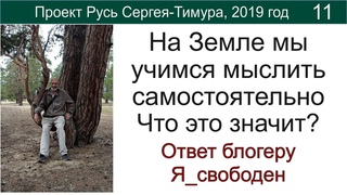 Грядущий царь Сергей-Тимур. А и правда, какая разница кто управляет вашими действиями (2019г)