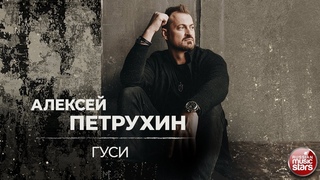 ГУСИ  ДУШЕВНАЯ РУССКАЯ ПЕСНЯ  АЛЕКСЕЙ ПЕТРУХИН