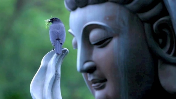 Great Compassion Mantra, Ani Choying