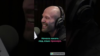 Цитаты Стетхема №245 #shorts #стэтхэм #стетхем #приколы #юмор #ржака #смех #цитаты