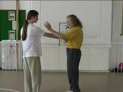 Bagua Animals Power Qigong: Lion