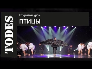 ОТКРЫТЫЙ УРОК ШКОЛ ТАНЦА АЛЛЫ ДУХОВОЙ TODES. Номер: Птицы (Павелецкая)