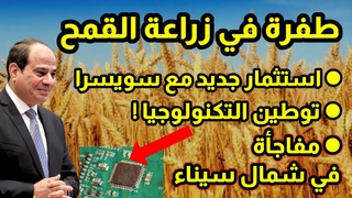 مفاجأة شمال سيناء و اž