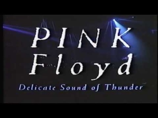 Delicate Sound Of Thunder