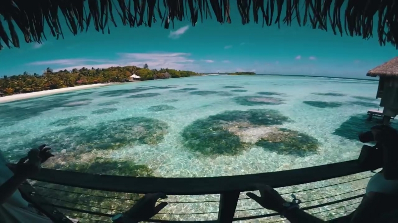 Maldives Tropical